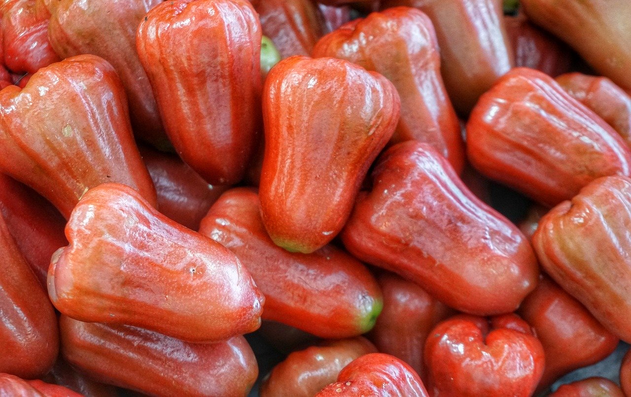 Ketahuilah 6 Manfaat Jambu Air Merah Untuk Ibu Hamil