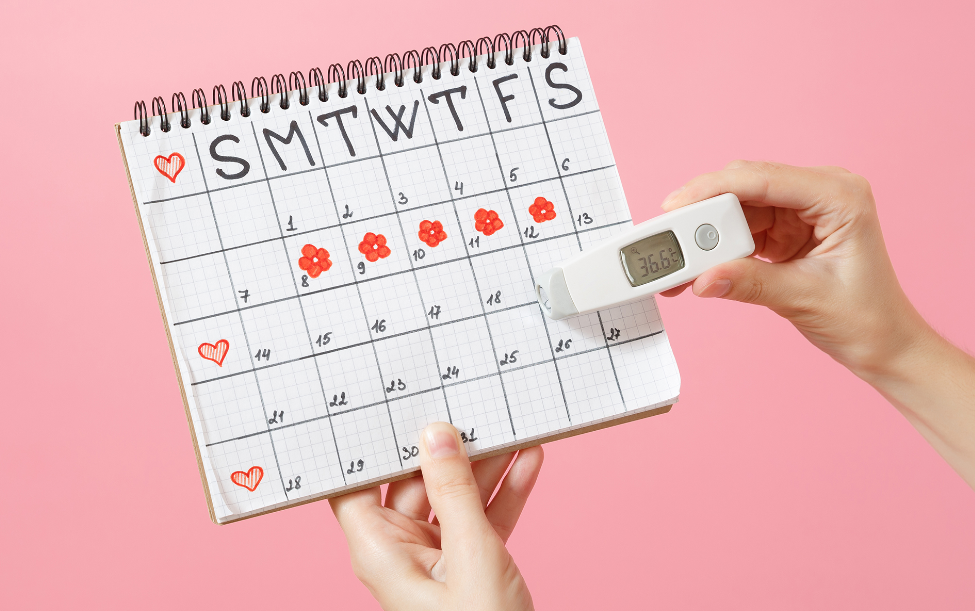 Pengertian Ovulasi Secara Mendalam yang Harus Anda Pahami