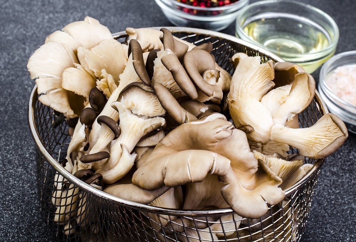 Wajib Tahu! 4 Manfaat Jamur Tiram untuk Ibu Hamil
