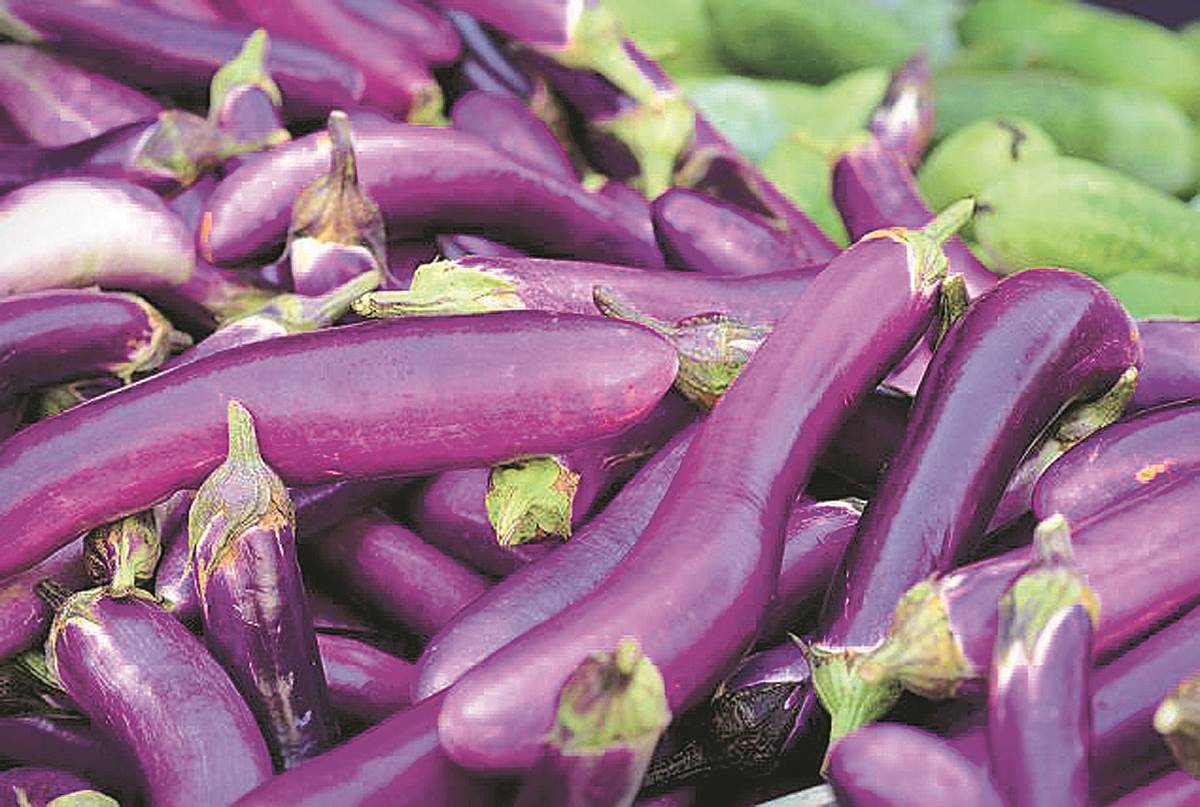 Bongkar 5 Manfaat Terong Ungu untuk Ibu Hamil