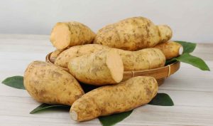 Ubi Cilembu Selain Lezat, Juga Sangat Bermanfaat untuk Ibu Hamil