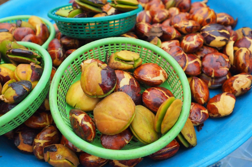 Bolehkah Ibu Hamil Makan Jengkol? Cari Tau Di Sini!