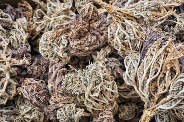 Ketahuilah 6 Manfaat Rumput Fatimah untuk Promil Anda