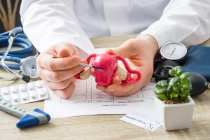 Simak 4 Fungsi Uterus Pada Sistem Reproduksi Wanita