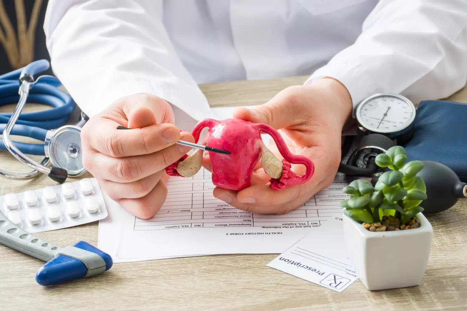 Simak 4 Fungsi Uterus Pada Sistem Reproduksi Wanita