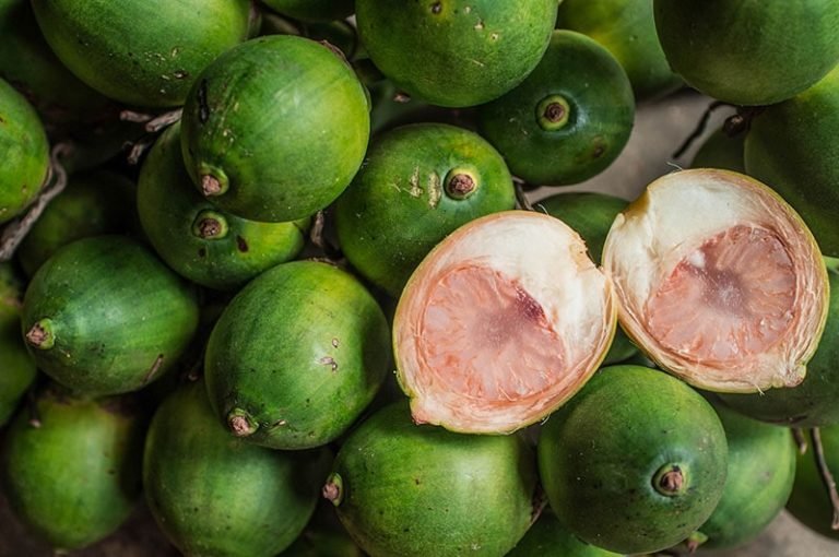 Ketahuilah 6 Manfaat Pinang Muda untuk Kesuburan Wanita