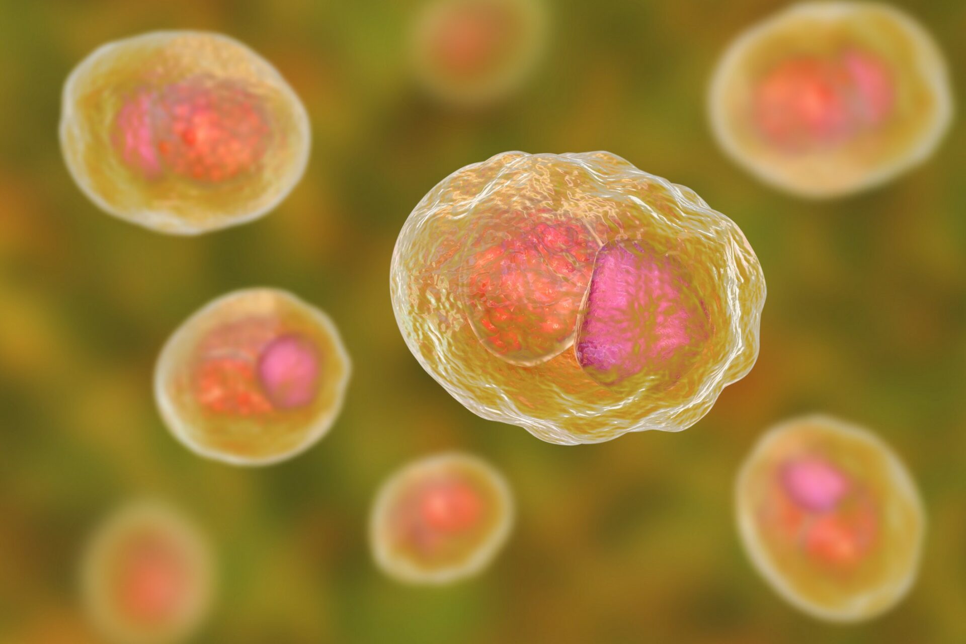 Apa Itu Chlamydia? Simak Pengertian Lengkapnya Disini