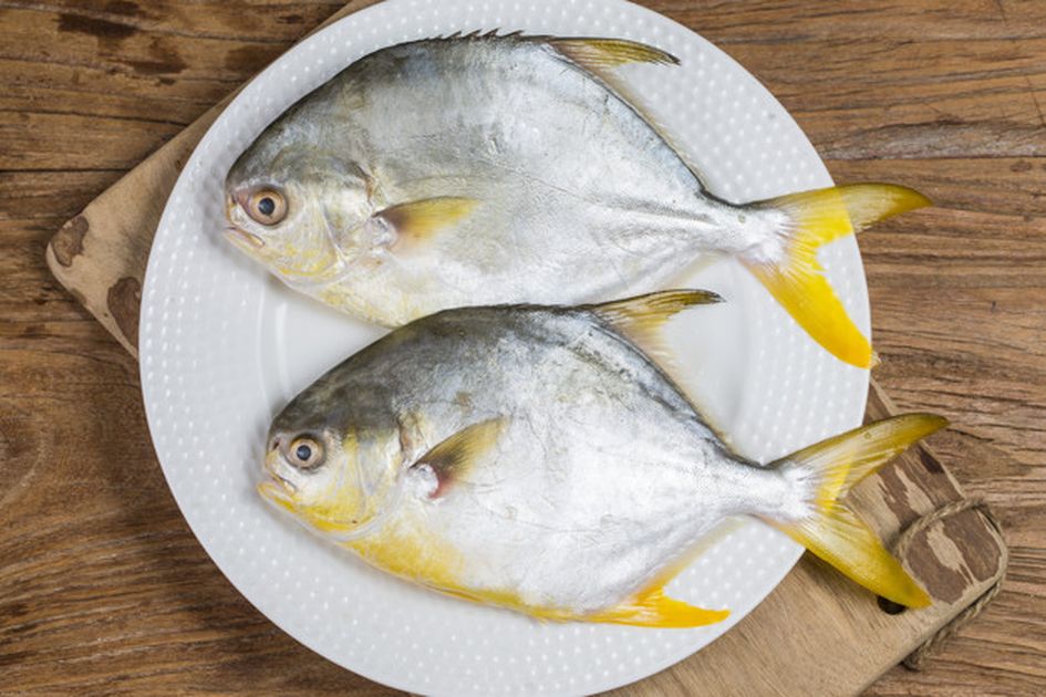 Inilah 5 Manfaat Ikan Bawal untuk Ibu Hamil