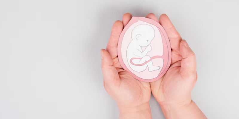 Plasenta Previa: Gejala, Penyebab, Komplikasi, dan Cara Pengobatannya