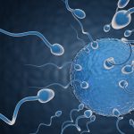 Ternyata Begini Proses Perjalanan Sperma ke Sel Telur, Yuk Cari Tahu!