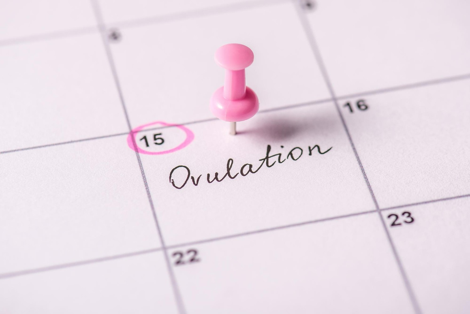 Inilah Cara Menghitung Masa Kesuburan Berdasarkan Kalender