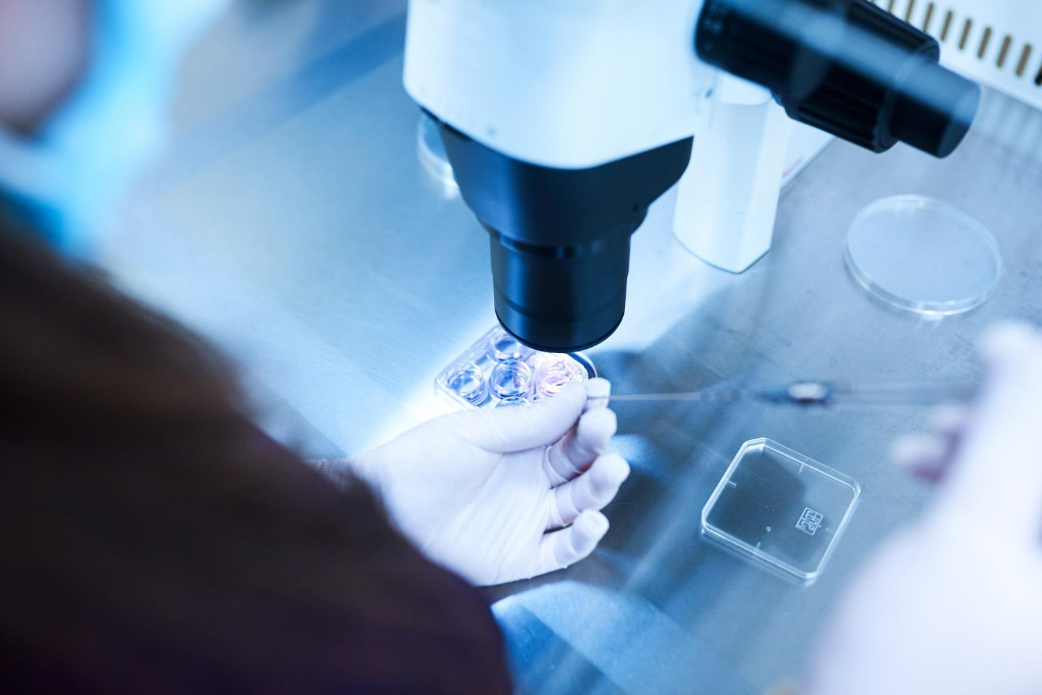 Mengintip Persiapan Sebelum Frozen Embryo Transfer, Calon Ibu Wajib Tahu!