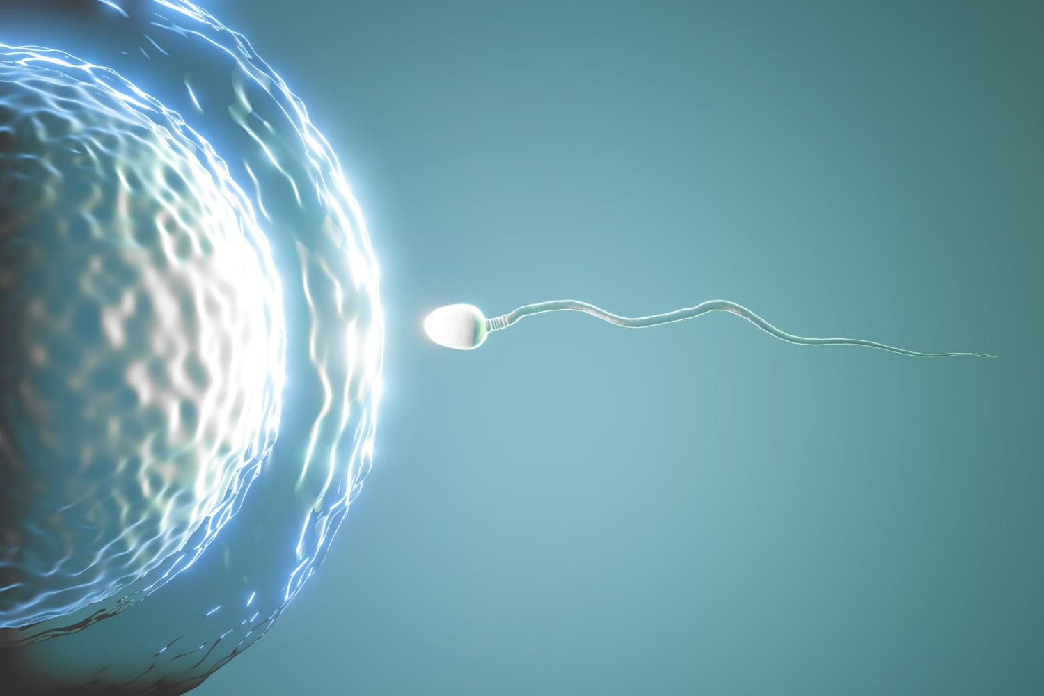Inseminasi Buatan: Pengertian, Tujuan, dan Prosedurnya