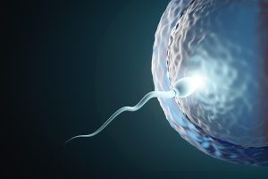 Proses Inseminasi Buatan yang Perlu Anda Ketahui