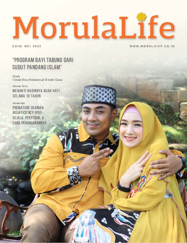Morula Life Oktober 2022