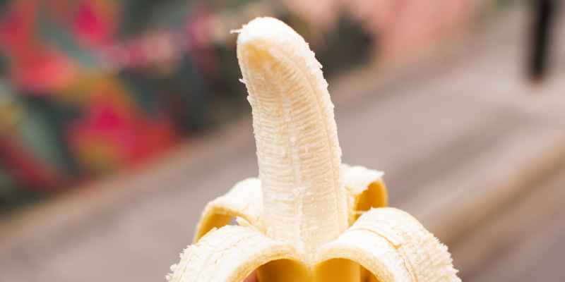 Understanding the Function of the Vas Deferens in the Male Reproductive System