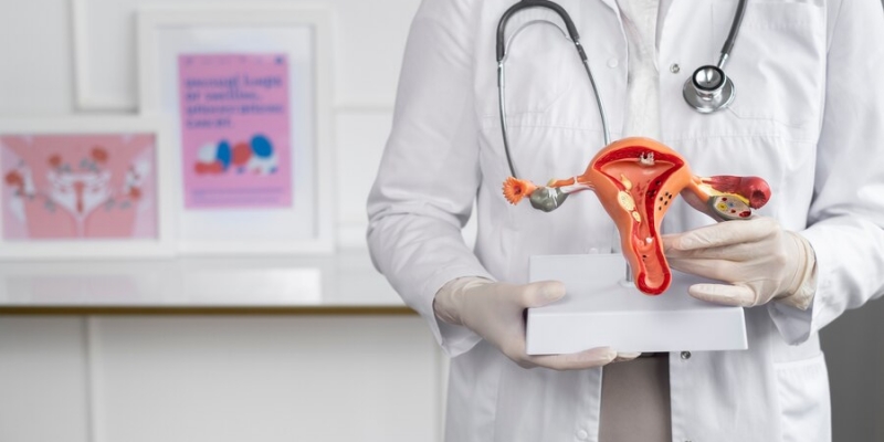 Korpus Luteum, Kunci Kesehatan Reproduksi Wanita