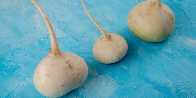 Manfaat Bengkoang untuk Ibu Hamil: Nutrisi Alami yang Mendukung Kehamilan Sehat