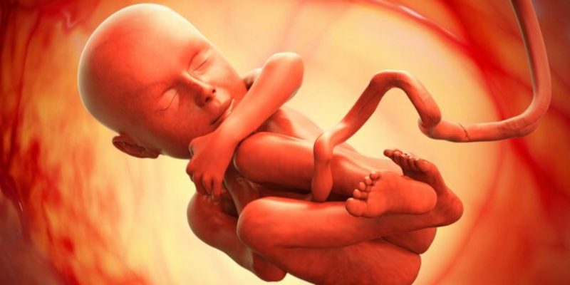 Eritroblastosis Fetalis: Kondisi yang Perlu Diketahui oleh Para Ibu