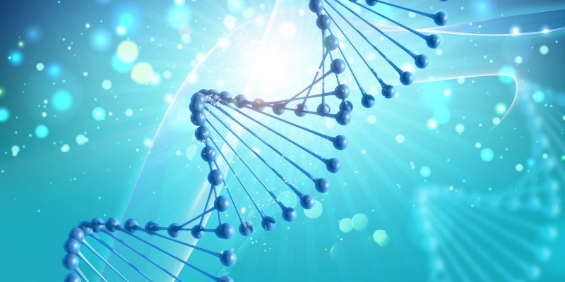 Deoxyribonucleic Acid (DNA): Fungsi, Struktur & Kelainan