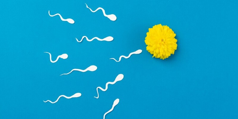 Normozoospermia: Pengertian, Penyebab, dan Hubungannya dengan Kesuburan Pria 