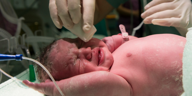 Makanan yang Dapat Meningkatkan Risiko Bayi Lahir Cacat