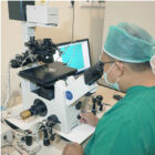 Basic Treatment Icon